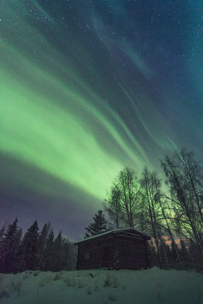 Revontulet kaamoksessa