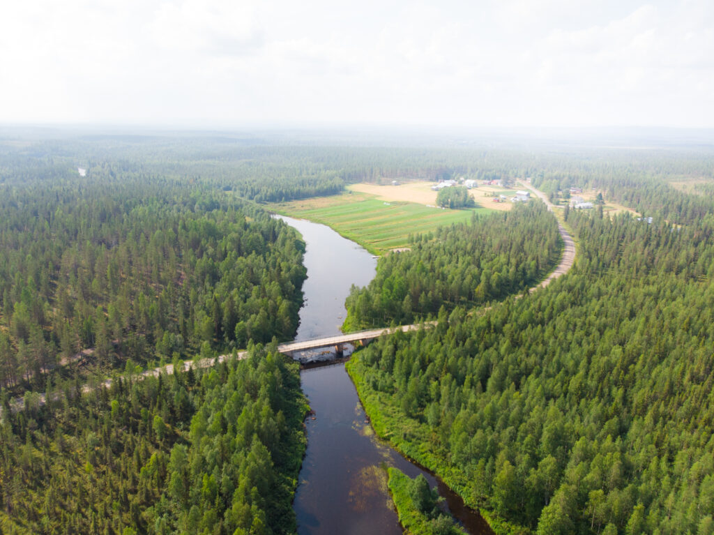 Koivumaan halki kulkeva tie jokimaisemassa